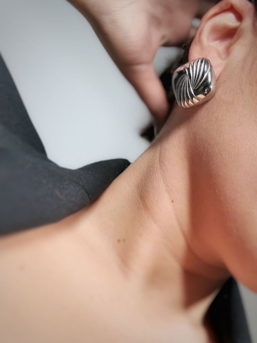 Εικόνα της ΛΟΥΚΙΑ SILVER