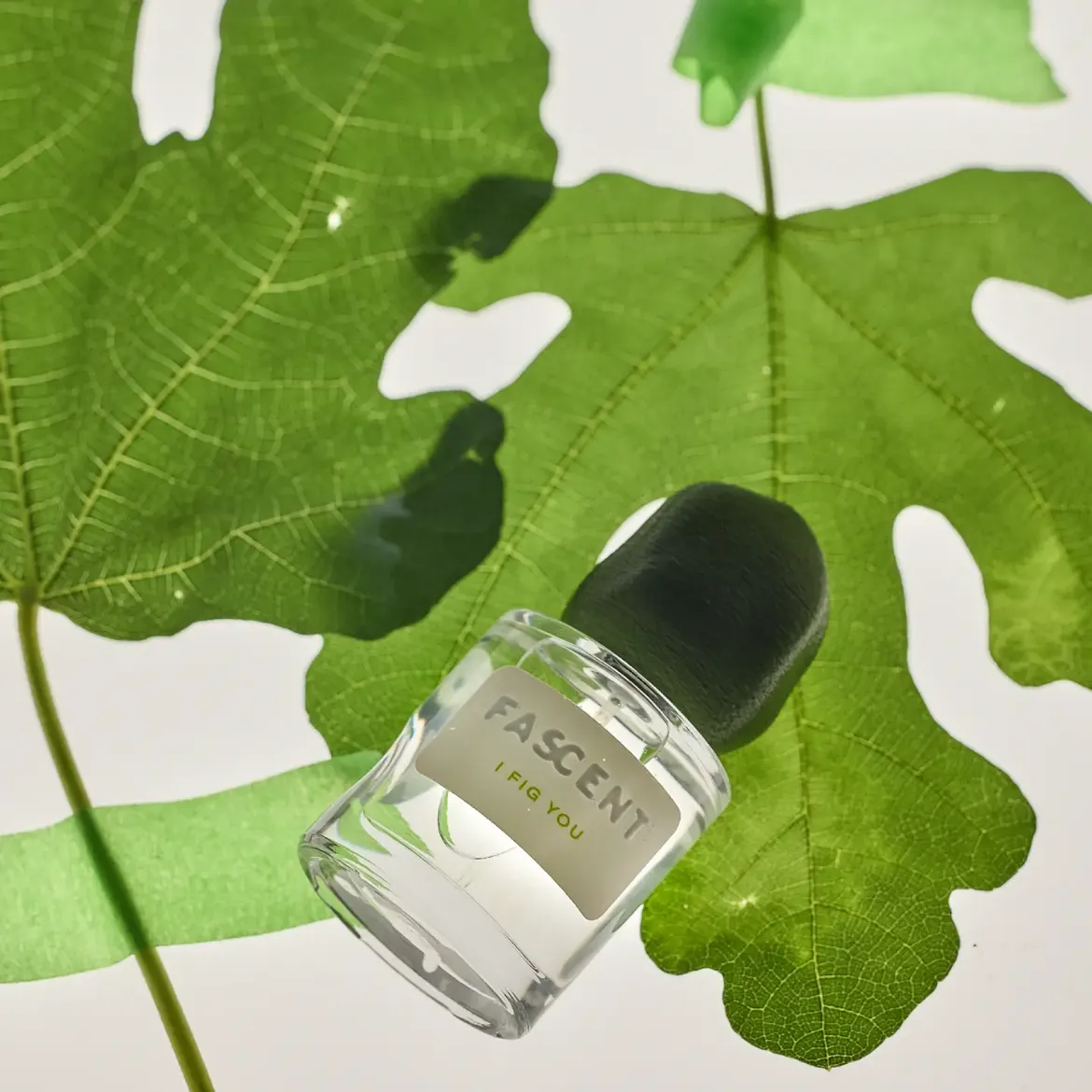 Εικόνα της I FIG YOU