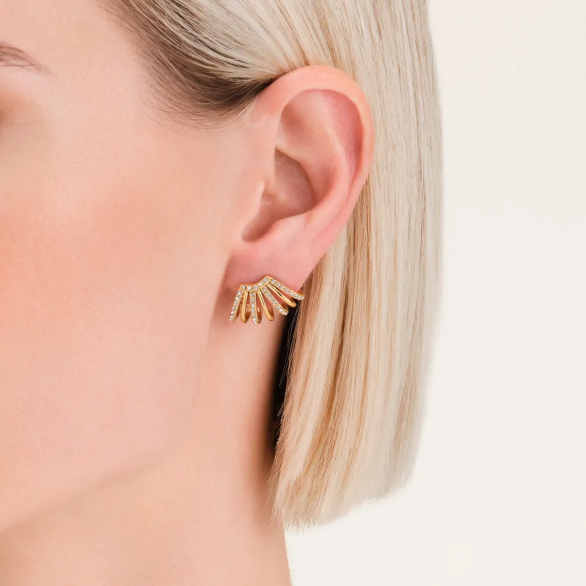 Εικόνα της Caged Crystal Earrings