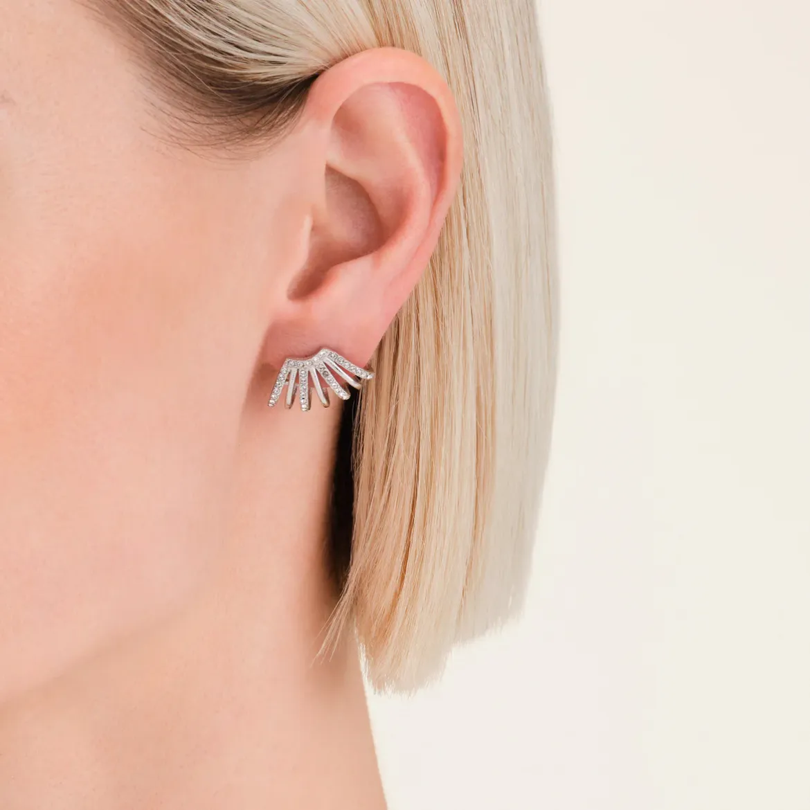 Εικόνα της Caged Crystal Earrings Silver