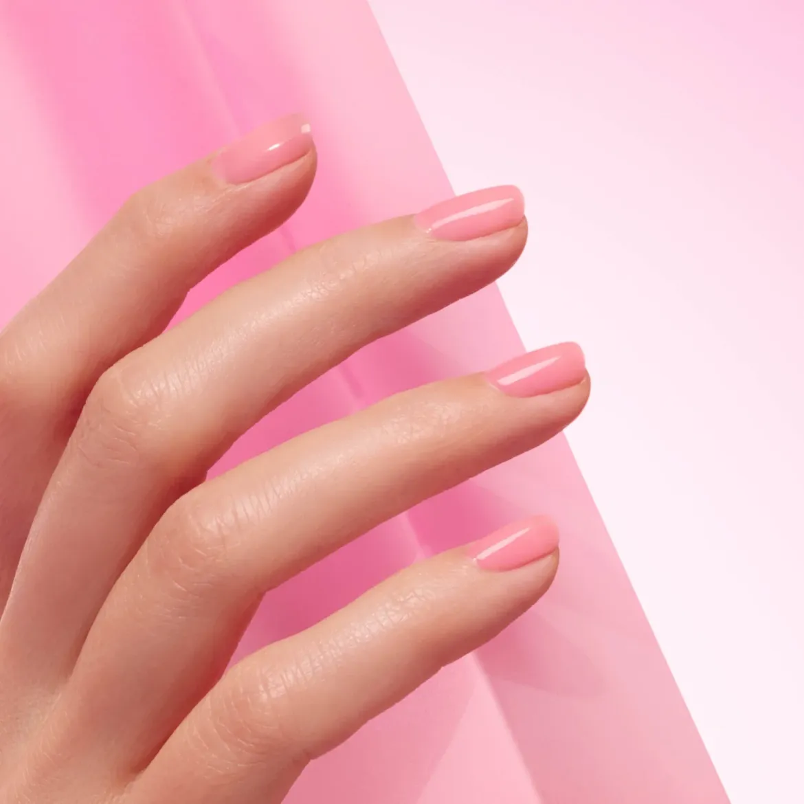 Εικόνα της Pink Sorbet Jelly